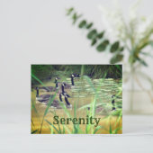 Serenity Canada Gese Inspiration Postkarte (Stehend Vorderseite)