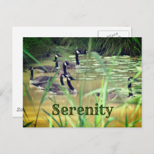 Serenity Canada Gese Inspiration Postkarte