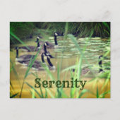 Serenity Canada Gese Inspiration Postkarte (Vorderseite)