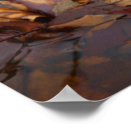 Serenity Creek Blätter Poster (Ecke)