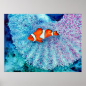 Serenity Fine Art Print Poster (Vorne)