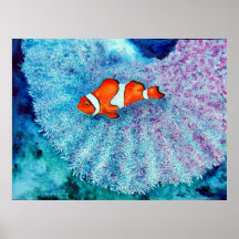 Serenity Fine Art Print