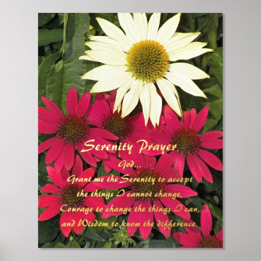 Serenity Gebet Coneflowers Foliendrucke (Vorderseite)