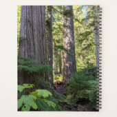 Serenity Gebet Grünwald Planer (Rückseite)