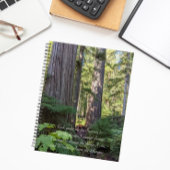 Serenity Gebet Grünwald Planer