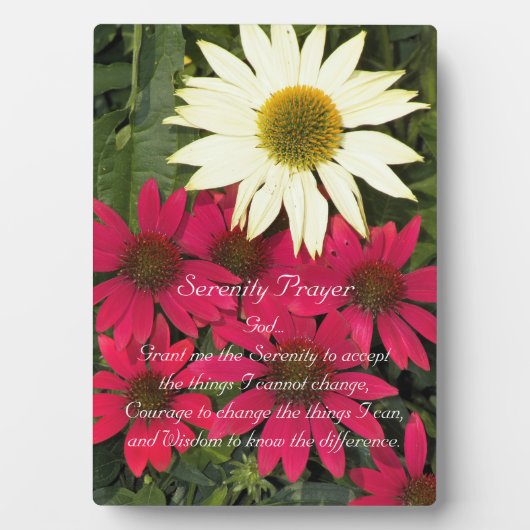 Serenity Gebet Red Coneflowers Bloral Fotoplatte (Vorderseite)