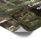 Serenity Gebet Sunlit Forest Fotografy Poster (Ecke)