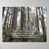 Serenity Gebet Sunlit Forest Fotografy Poster (Vorne)