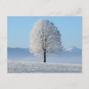 Serenity Gebet Winterbaum Postkarte