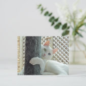 Serenity Hug Postcard Postkarte (Stehend Vorderseite)