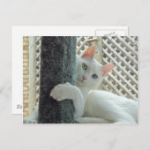 Serenity Hug Postcard Postkarte (Vorne/Hinten)