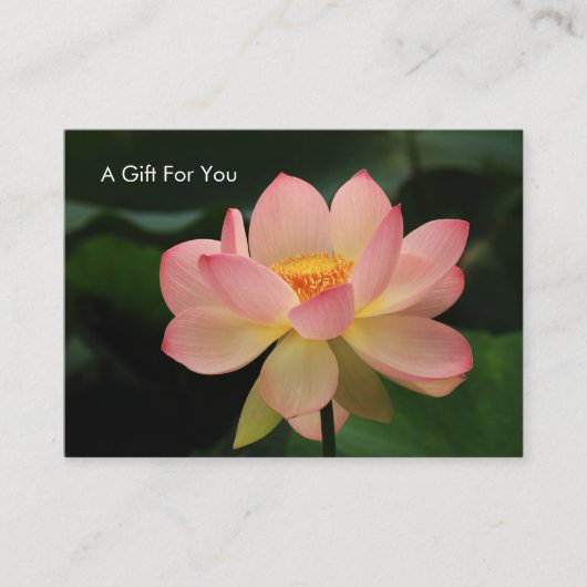 Serenity Lotus Flower Massage Therapist Gift Card Rabattkarte (Vorderseite)