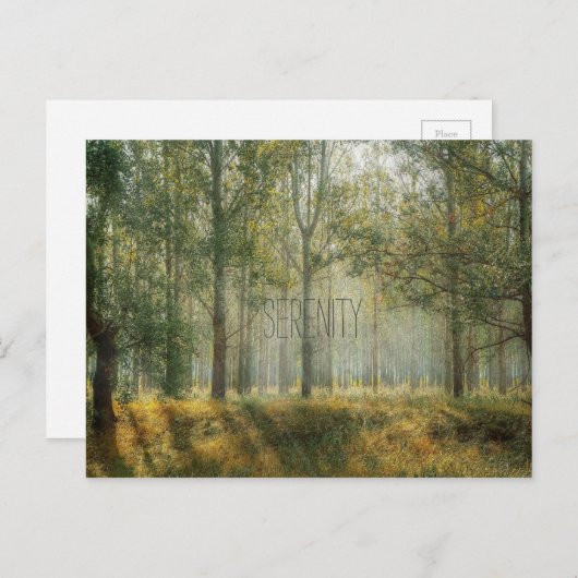 Serenity Nature Postcard Postkarte (Vorne/Hinten)