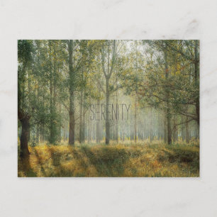 Serenity Nature Postcard Postkarte