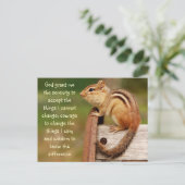 Serenity Prayer Chipmunk Postcard Postkarte (Stehend Vorderseite)