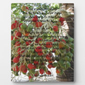 Serenity Prayer Fotoplatte (Vorderseite)