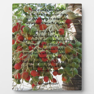 Serenity Prayer Fotoplatte