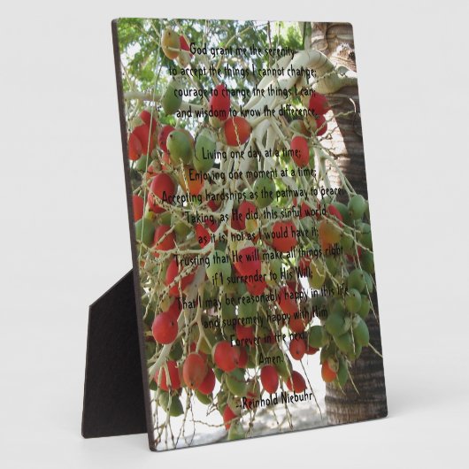 Serenity Prayer Fotoplatte (Seite)