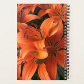 Serenity Prayer Orange Lily Blume Foto Planer (Rückseite)