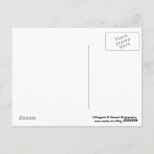 Serenity Prayer Postkarte (Rückseite)