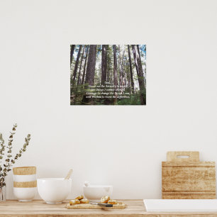 Serenity Prayer Sonnent Wald Fotografie Poster