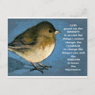 SERENITY PRAYER UND JUNCO ARTWORT POSTKARTE