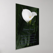Serenity Prayer White Calla Lily Floral Foliendrucke (Ablage )
