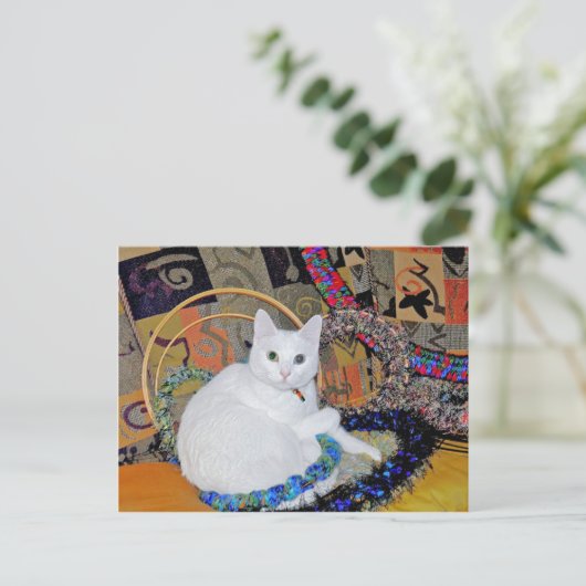 Serenity umkreist Postkarte (Stehend Vorderseite)