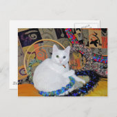 Serenity umkreist Postkarte (Vorne/Hinten)