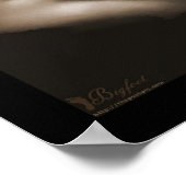 Serenity v1 poster (Ecke)