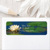 Serenity Water Lily (Insitu)