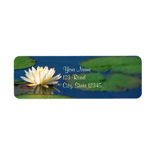 Serenity Water Lily (Vorne)