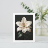 Serenity White Lily - Elegante Tribute to Floral Postkarte (Stehend Vorderseite)