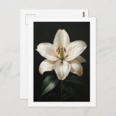 Serenity White Lily - Elegante Tribute to Floral Postkarte (Vorne/Hinten)