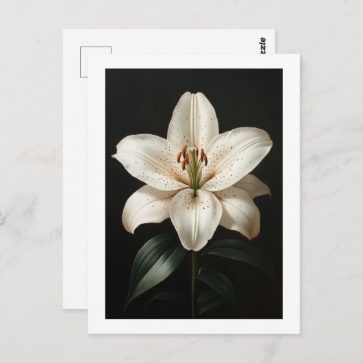 Serenity White Lily - Elegante Tribute to Floral Postkarte (Vorne/Hinten)
