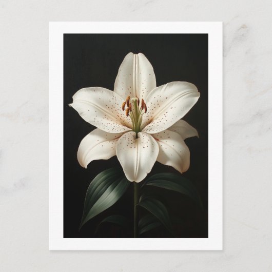 Serenity White Lily - Elegante Tribute to Floral Postkarte (Vorderseite)