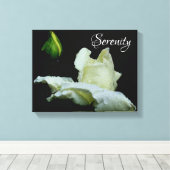 Serenity White Rosenknospe Inspirational Words Leinwanddruck (Insitu (Holzboden))