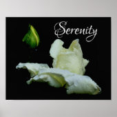 Serenity White Rosenknospe Inspirational Words Poster (Vorne)
