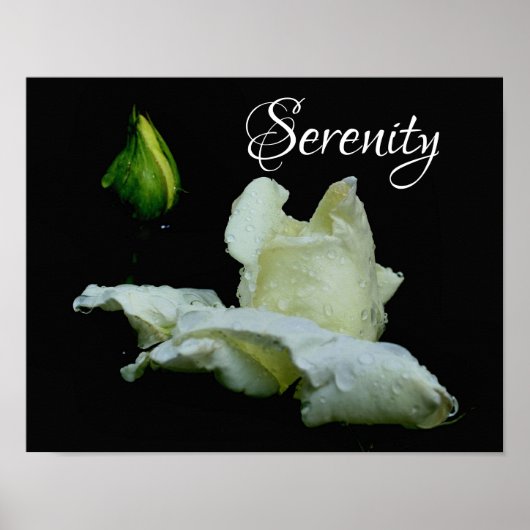 Serenity White Rosenknospe Inspirational Words Poster (Vorne)
