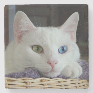 Serenitynahaufnahme-Marmor-Untersetzer #2 Steinuntersetzer