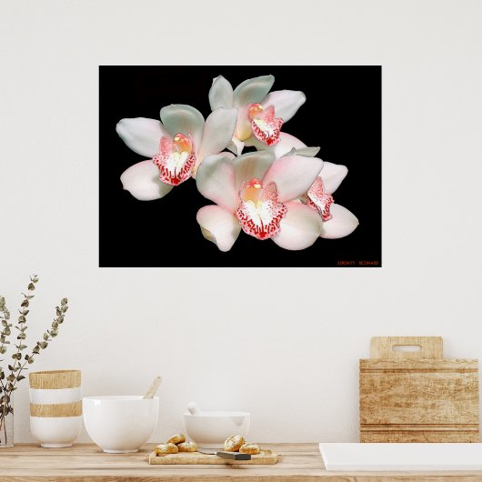 SERENZ POSTER (Küche)