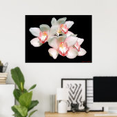 SERENZ POSTER (Heimbüro)