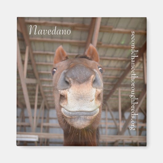 Serie für Sammelhefte - Navedano Magnet (Vorne)