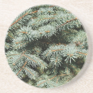 Serie Pflanze/Blume - Blue Spruce Untersetzer