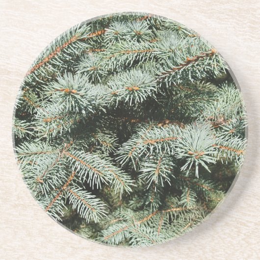 Serie Pflanze/Blume - Blue Spruce Untersetzer (Vorne)