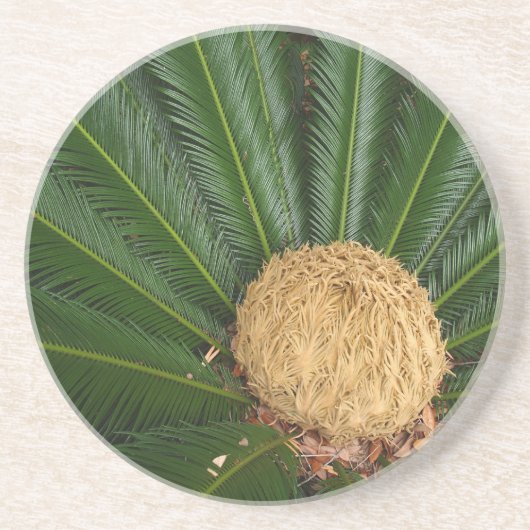 Serie Pflanze/Blume - Untersetzer Sago Palm (Vorne)