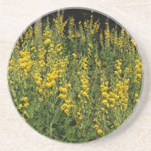 Serie Pflanze/Blume - Wildblume-Untersetzer Sandstein Untersetzer