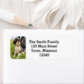 Serielles Rücksendeadresse-Label (Insitu)