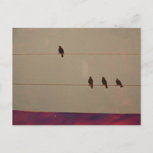 Serienpostkarte Postkarte