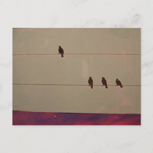 Serienpostkarte Postkarte (Vorderseite)